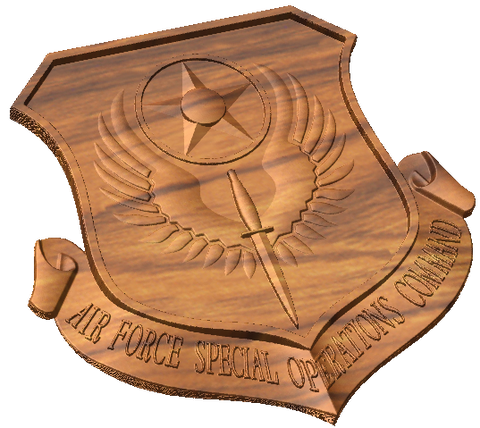 Air Force Special Operations Command Insignia