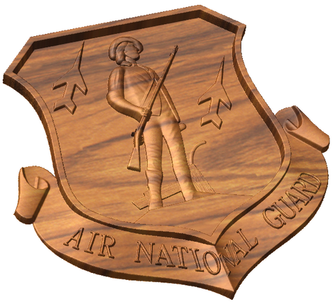 Air National Guard Insignia
