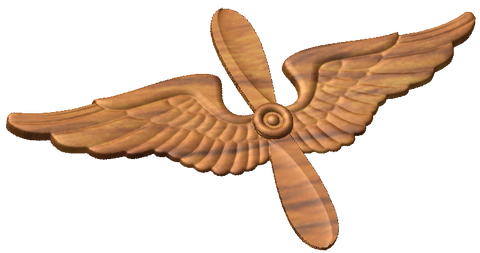 Aviation Branch Insignia