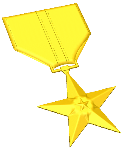 Bronze Star Medal