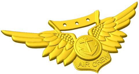 Combat Aircrew Badge