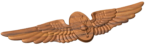 Flight Surgeon Wings