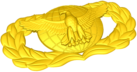 Force Protection Badge