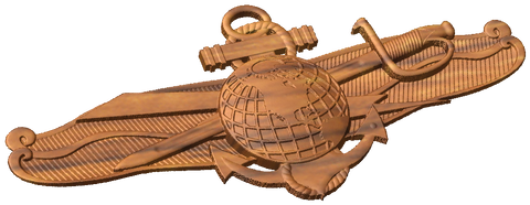Information Dominance Warfare Officer Badge