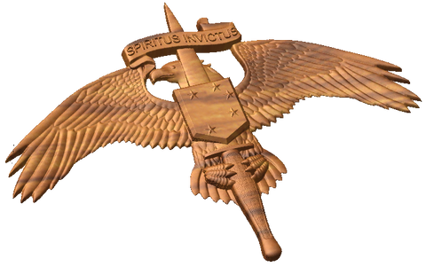 Marine Raider Badge