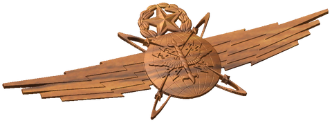 Master Cyberspace Operator Badge