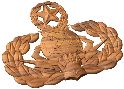 Master Cyberspace Support Badge
