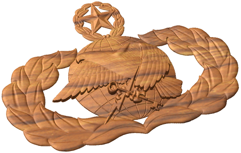 Master Supply And Fuels Badge