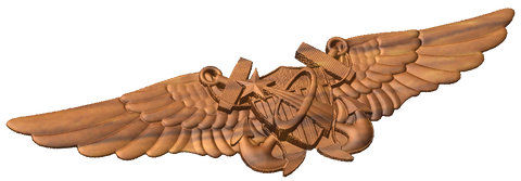 Naval Flight Officer Astronaut Wings