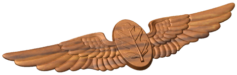 Navy Flight Nurse Wings