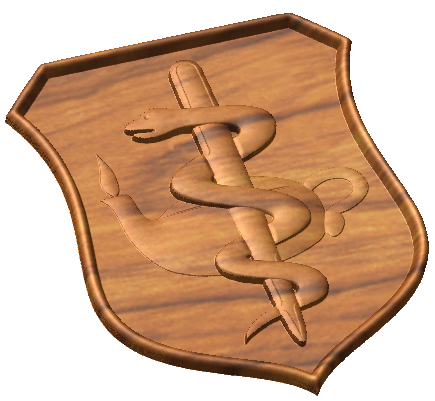 Nurse Badge