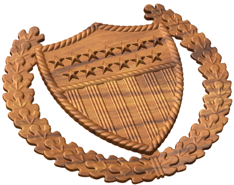Officer In Charge Ashore Badge