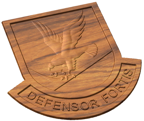 Security Forces Beret Flash