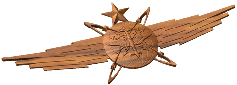 Senior Cyberspace Operations Badge