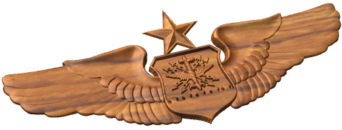 Senior Navigator Wings