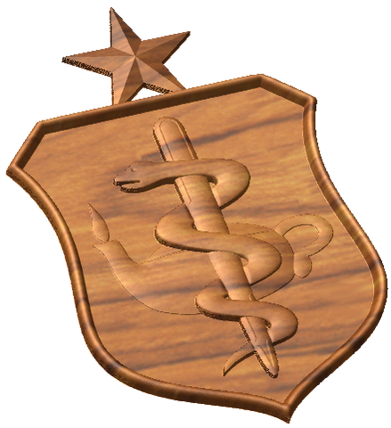 Senior Nurse Badge