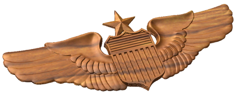 Senior Pilot Wings