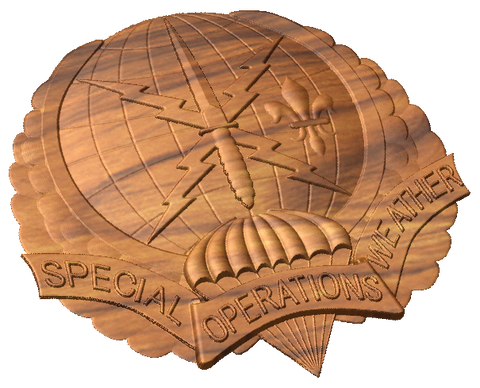 Special Operations Weather Insignia