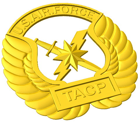 Tactical Air Control Party (TACP) Badge