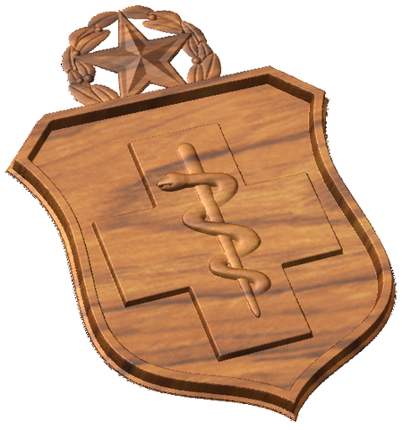 Master Medic Badge