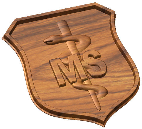 Medical Service Badge