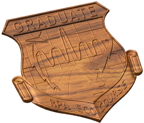 Weapons School RPA ECO Graduate Insignia